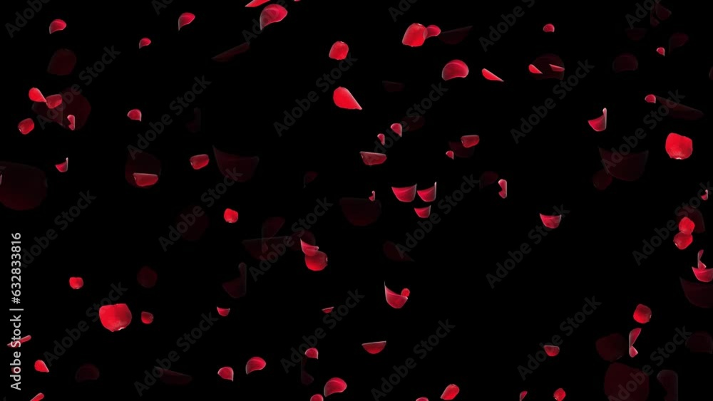 Random Rose petals against background Green Screen. Great for Presentation, forms, ad, Wedding, Birthday, Celebration, Carnival, Party, Anniversary, Women day, holiday love, relationship valentine day Random Rose petals against background Green Screen. Great for Presentation, forms, ad, Wedding, Birthday, Celebration, Carnival, Party, Anniversary, Women day, holiday love, relationship valentine day