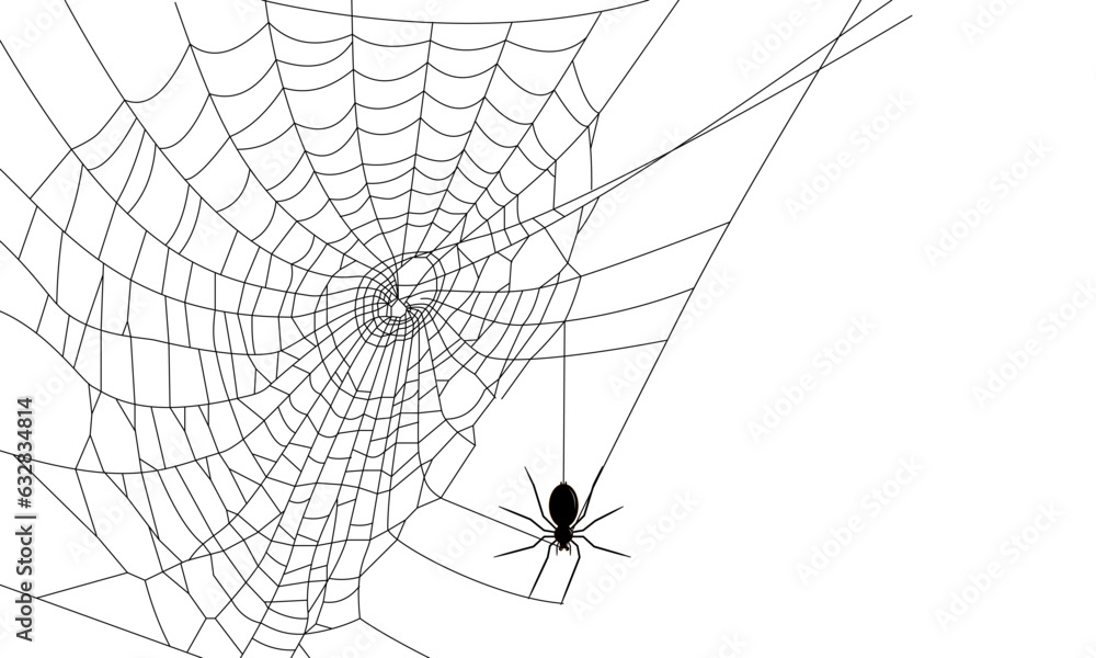 Fototapeta premium Black spider on cobweb isolated on white background. Vector Halloween Illustration.