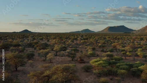 Aerial View Of African Savannah photo