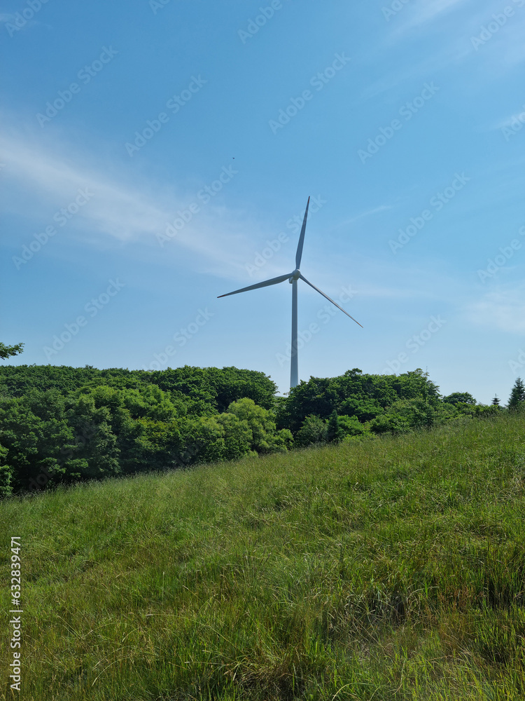 Fototapeta premium It is a farm with wind turbines.