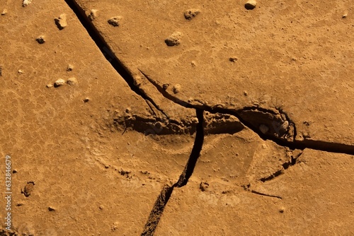 Fotografie Cracked, dried mud with a moccasin print in the dirt, Flagstaff, Arizona