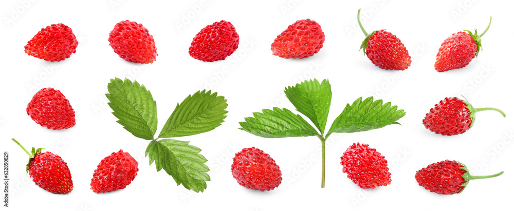 Set with sweet ripe wild strawberries and green leaves isolated on white Set with sweet ripe wild strawberries and green leaves isolated on white