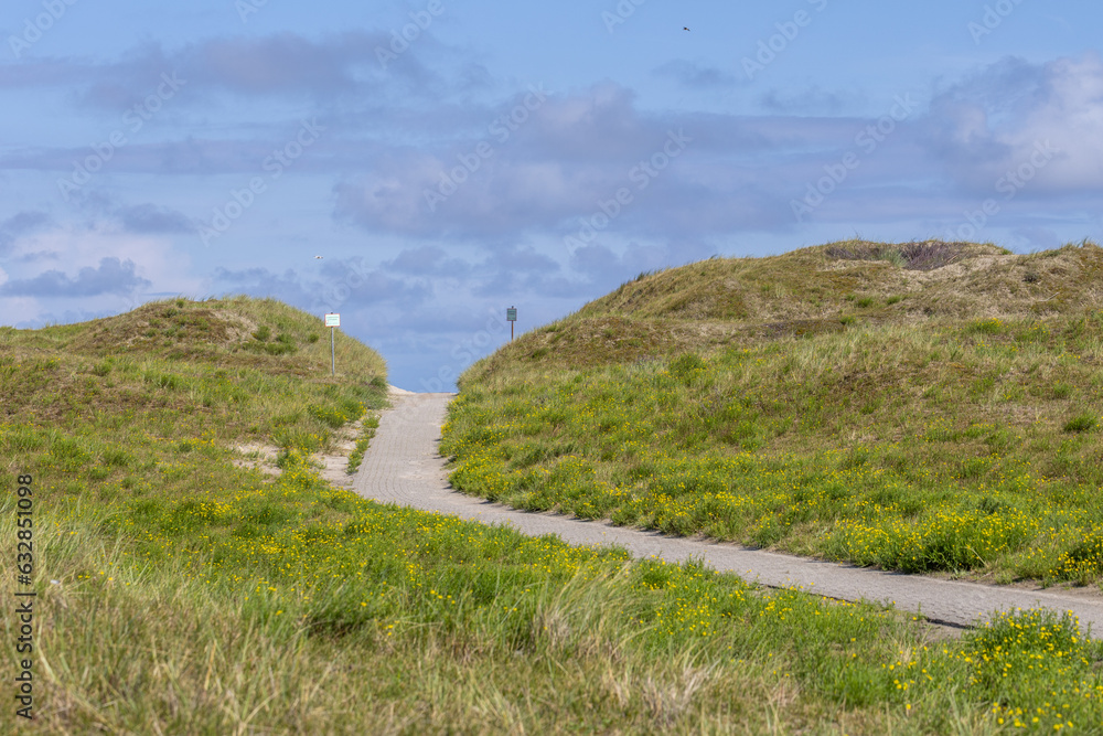 Weg in den Dünen von Norderney Weg in den Dünen von Norderney