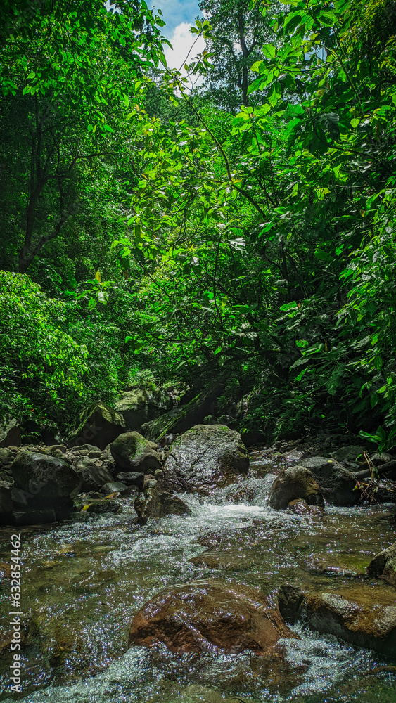 There is a small river under the waterfall. There is a small river under the waterfall.