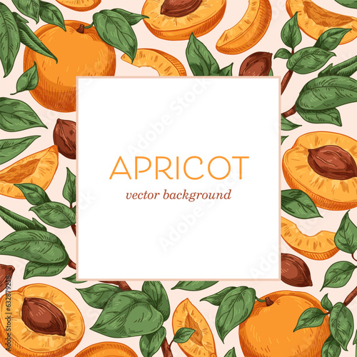 Apricots background, framed design. Exotic tropical fruits and leaves, branches pattern, square-shaped card template. Fresh fruity backdrop, cover. Detailed hand-drawn vintage vector illustration