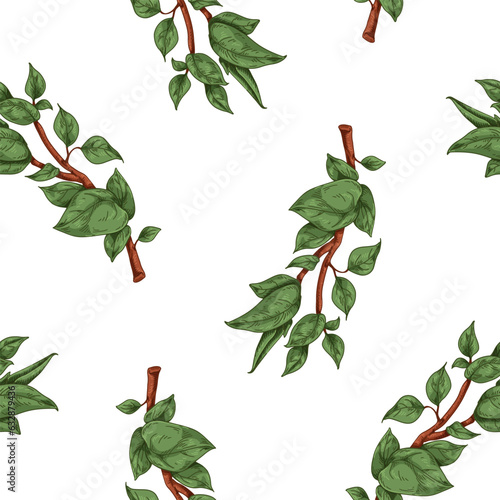 Leaf tree branches, seamless pattern. Leaves on twig, endless background desi...