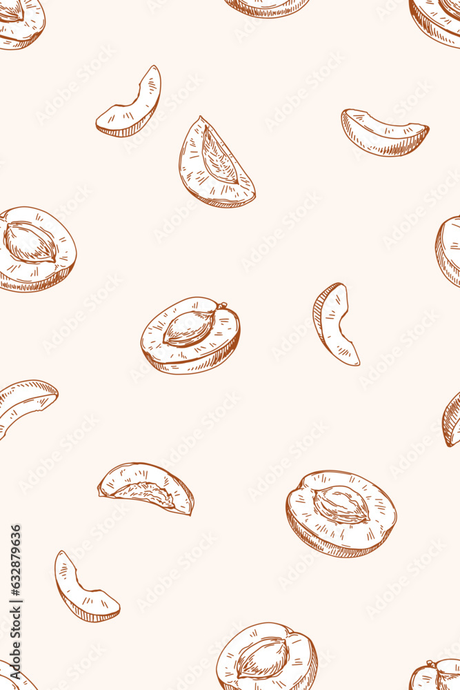 Seamless apricot pattern. Monochrome fruits, repeating print in vintage retro drawing style. Hand-drawn endless sketch background design. Handdrawn vector illustration for textile, fabric, wrapping