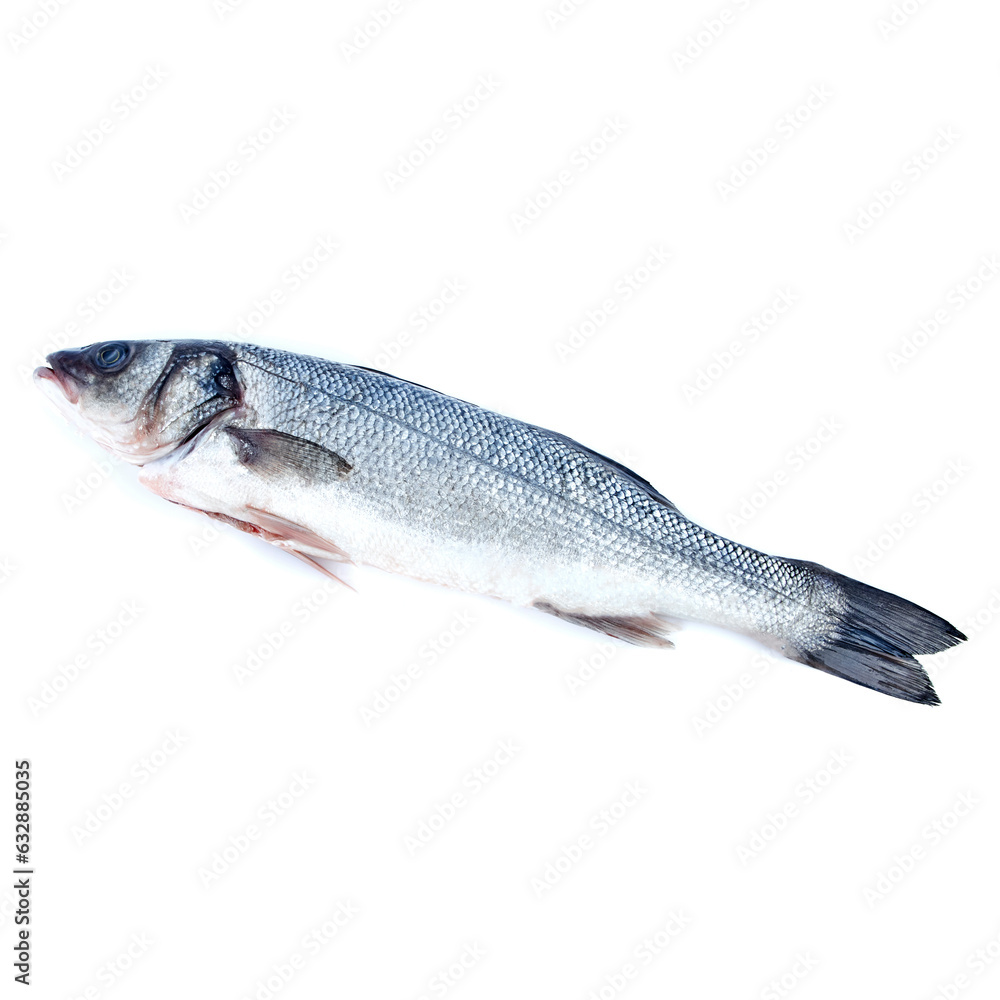 Naklejka premium Sea bass on a white background