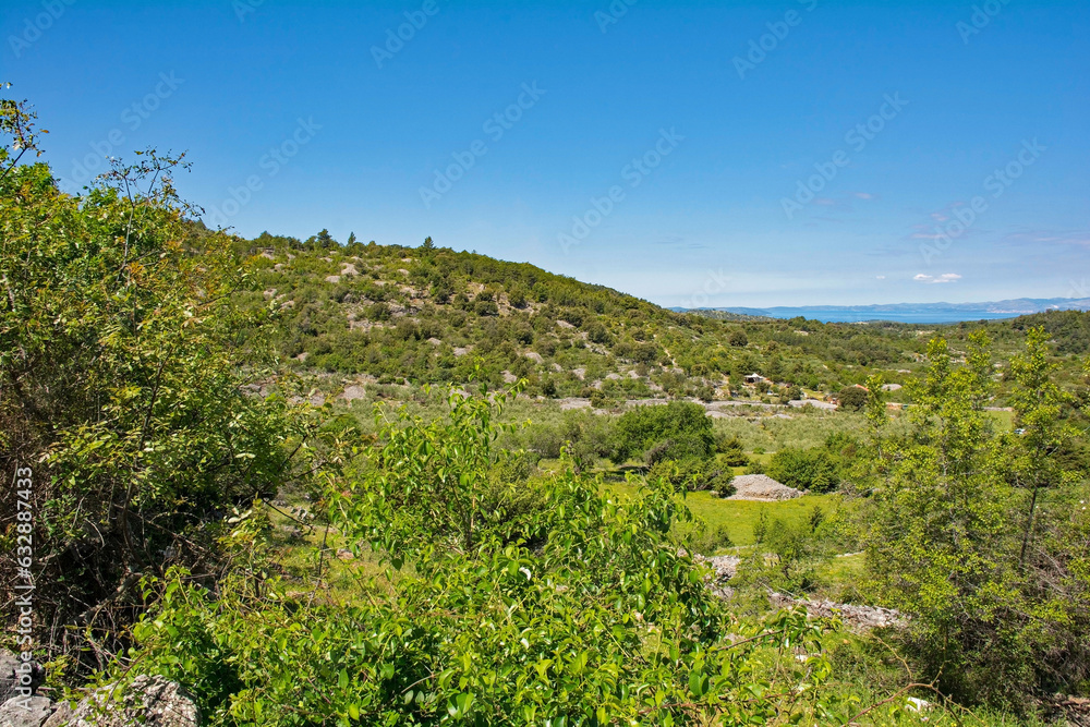 Fototapeta premium The spring landscape near Nerezisca on Brac Island in Croatia in May, showing the island's characteristic stone mounds and walls