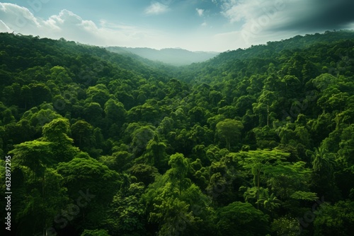 Vast And Lush Forest Canopy Seen From Above, Generative AI 