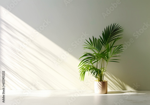 Beautiful indoor palm plant on floor in room, space for text. House decoration © YuliiaMazurkevych