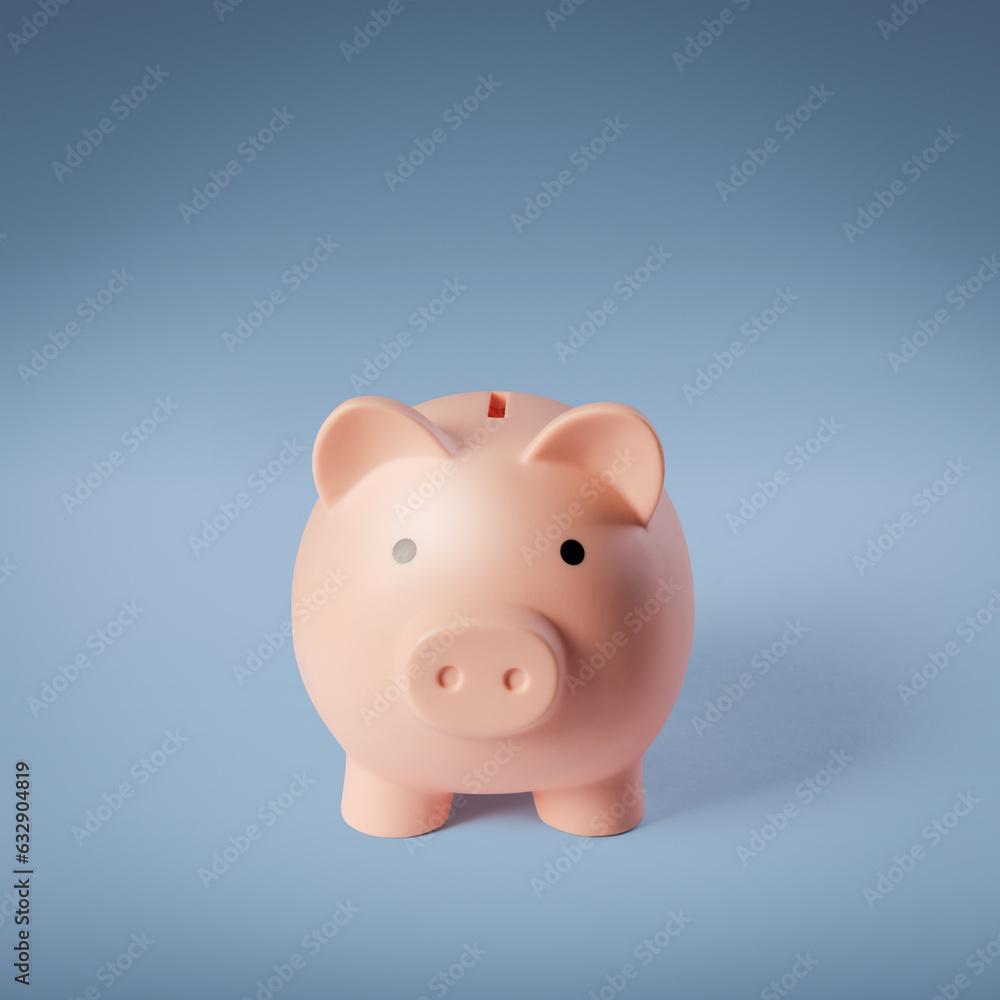 Piggy bank: investments and savings