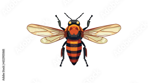 Drawing bee fly on white background vector © Dzmitry