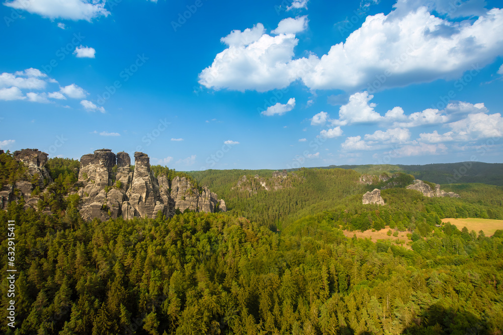Obraz premium Elbsandsteingebirge in saxonia with tree in foreground