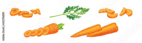 Carrot as Orange Root Vegetable Whole and Sliced Vector Set
