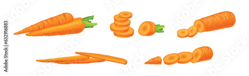 Carrot as Orange Root Vegetable Whole and Sliced Vector Set