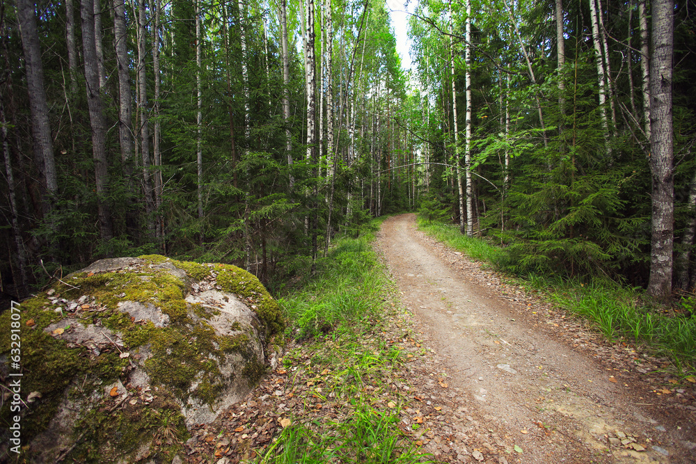 Fototapeta premium Haukkalampi Trail in Nuuksio National Park - Finland