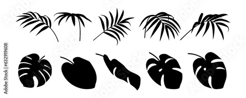 Tropical leaf collection. Jungle flora. Exotic nature. Palm branch cutout. Leaves figure. Botanical set. Black silhouette. Floral element. Isolated on white background. Vector illustration