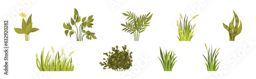 Green Bush with Leafy Stem as Outdoor Growth Vector Set