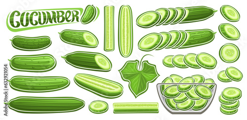 Vector Cucumber Set, collection of cut out cartoon design vegetarian still life compositions, farmer juicy cucumbers in glass dish, set of various whole veggies and text cucumber on white background