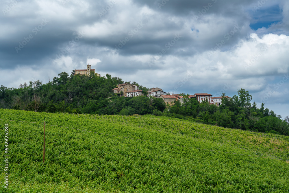 Hills of Oltrepo Pavese at June. Vineyards Hills of Oltrepo Pavese at June. Vineyards