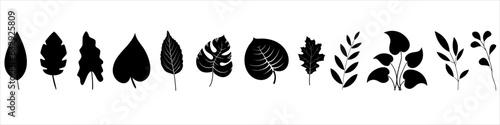 Leaves icon vector. Plants illustration sign collection. Trees symbol or logo.