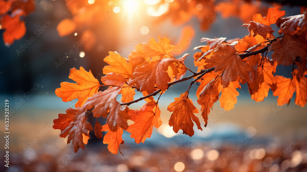 Autumn colorful bright leaves swinging in a tree Autumn colorful bright leaves swinging in a tree