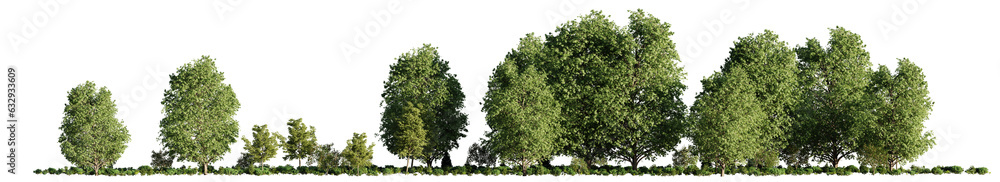 forest landscape with lush green trees and shrubs, isolated on transparent background forest landscape with lush green trees and shrubs, isolated on transparent background