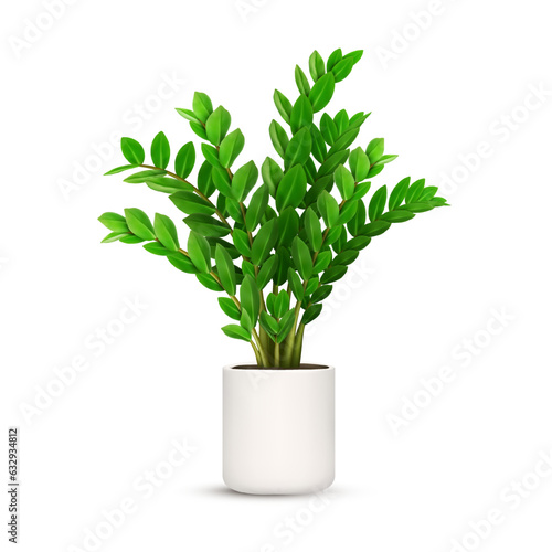 Zamioculas plant. Flower in pot. Green leaf. Garden decoration. Home interior. Botanical tree. Indoor foliage. Exotic herb in vase. Fresh element. Isolated on white background. Vector illustration