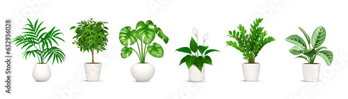 Green houseplant collection. Set of nature leaf plants in pots. Floral decoration, home, house flowers. Indoor interior, flowerpot, design. Isolated on white background. Vector illustration.