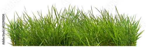 Panel kuchenny z motywem green grass isolated on white