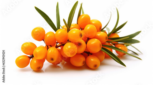 Sea buckthorn isolated on a white background. photo