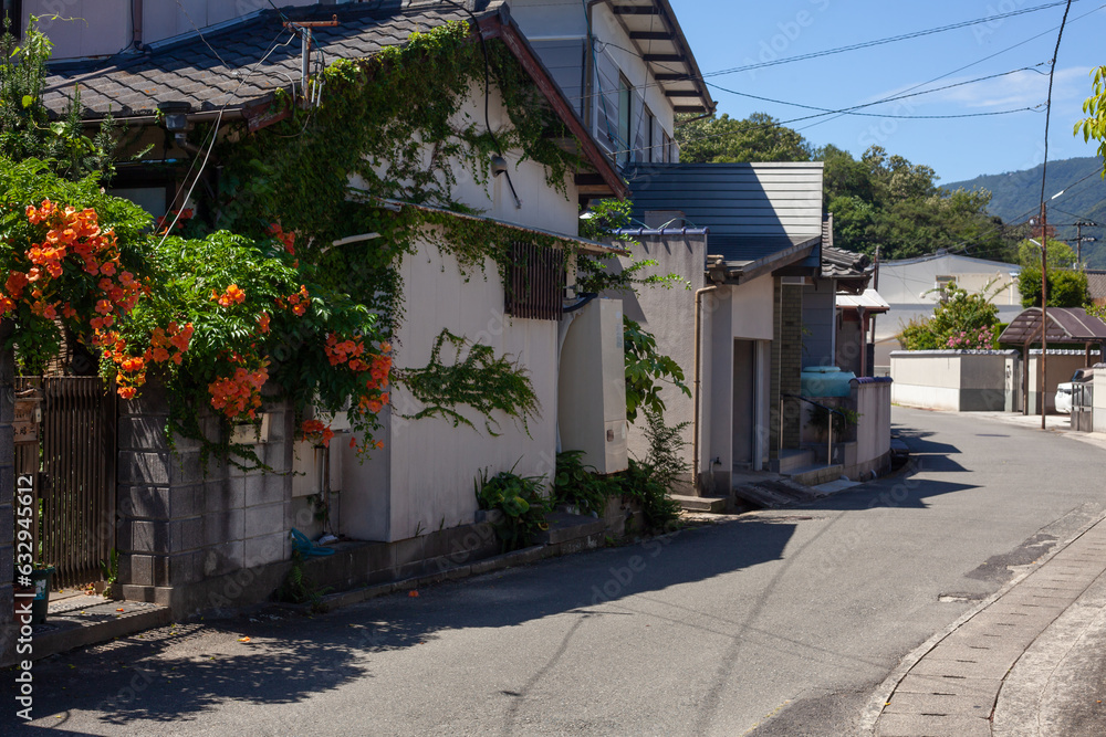 Obraz premium 日本の路地