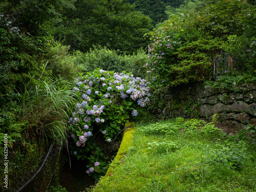 Fototapeta Naklejka Na Ścianę i Meble -  日本の田舎の風景