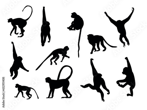 set of shadows, silhouettes of monkeys.