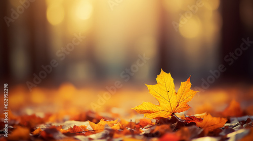 Autumn maple leaves in sunlight  Golden autumn card