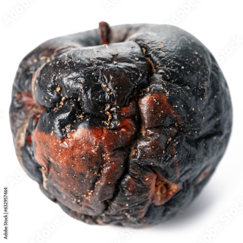 Canvas Print Close up rotten apple isolated on white background