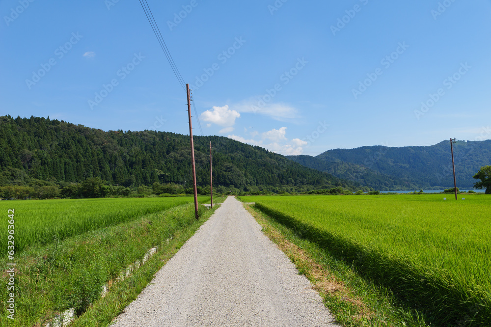 Image of beautiful Terraced rice field in water season and Irrigation from drone,Top view of rices paddy field