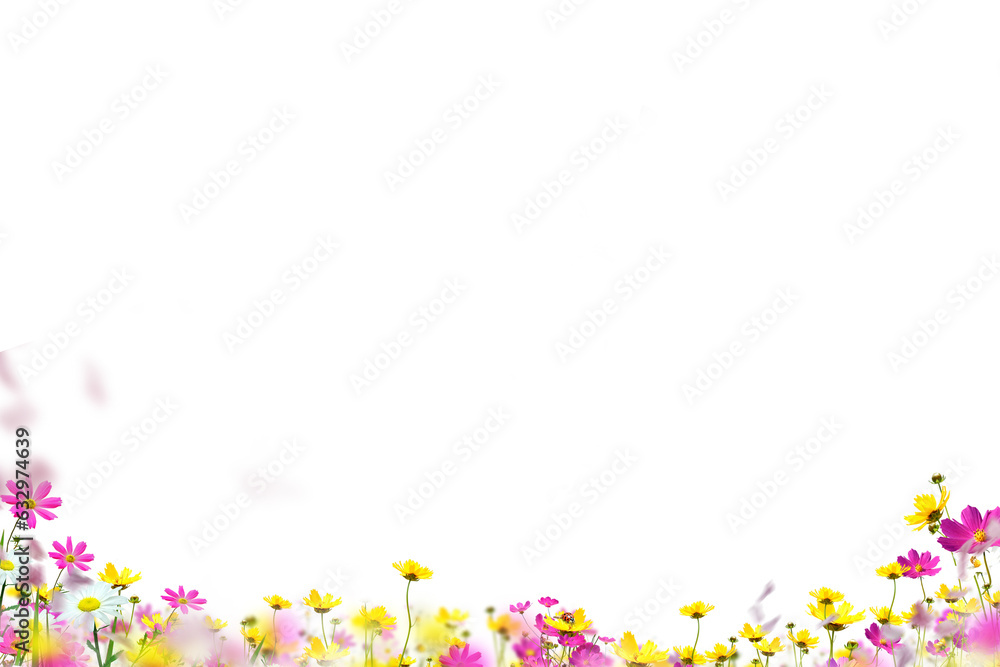 Flowers isolated on transparent background, Flower summer spring flowers png, frame background, border overlay, without background 