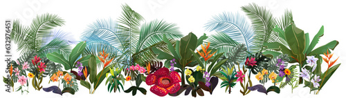 Panoramic view with tropical plants: orchids, Bird of paradise, banana, monstera, bamboo, dracaena, rafflesia. Flowers and coconut palm leaves. Realistic botanical illustration in watercolor style
