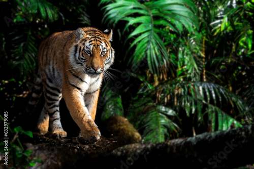 Close adult tiger portrait in jungle