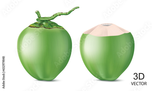 vector illustration fresh green coconuts design template isolated on the white background.