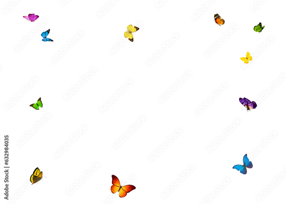 Set butterflies isolated on transparent background. Butterflies png. Frame of butterfly red, orange, yellow and white. Greeting card