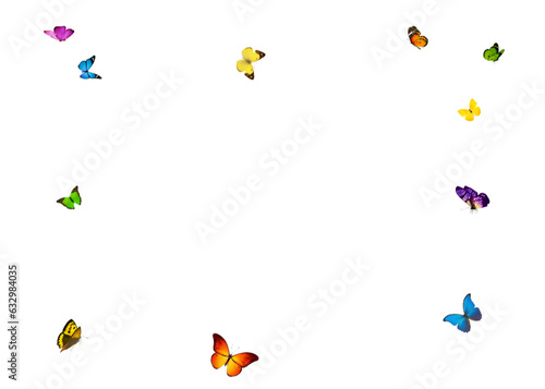 Set butterflies isolated on transparent background. Butterflies png. Frame of butterfly red, orange, yellow and white. Greeting card