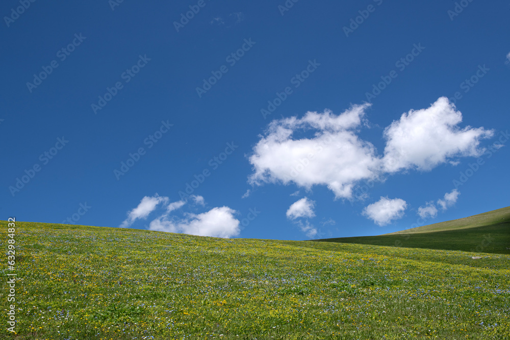 Green grass colorful flowers. Blue sky with white clouds. Kaçkar Mountains, Rize Türkiye. Green grass colorful flowers. Blue sky with white clouds. Kaçkar Mountains, Rize Türkiye.
