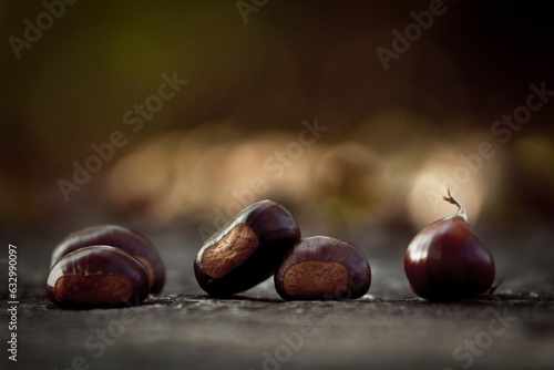 Chestnuts on the ground. Picture taken in a forest in north of Italy, during the autumn.