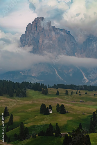 Alpe di Siusi, Dolomites, Italy
