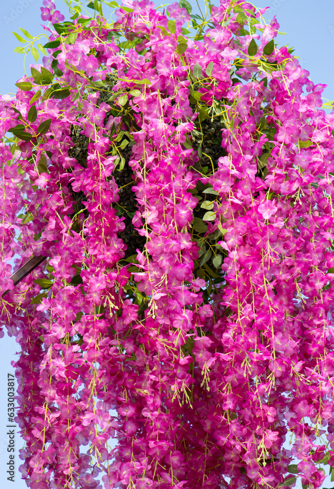 Obraz premium pink flowers on the branches as a background.
