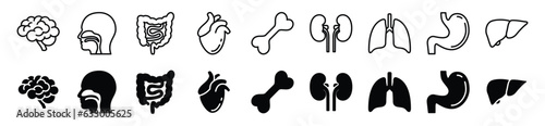 Human organs thin line icons set. Bone, brain, throat, intestine, hearth, kidney, lungs, stomach, liver icon symbol in line and flat style on white background. Vector illustration
