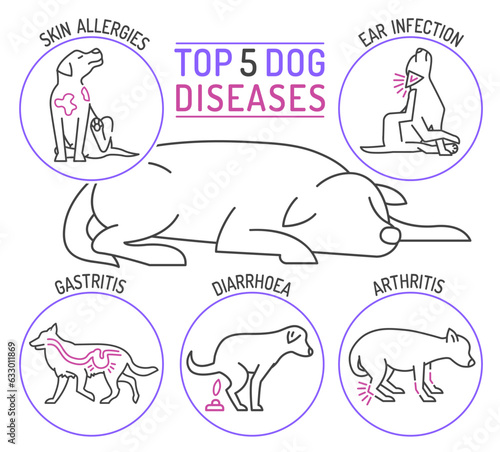 Top five dog diseases. Horizontal medical poster.